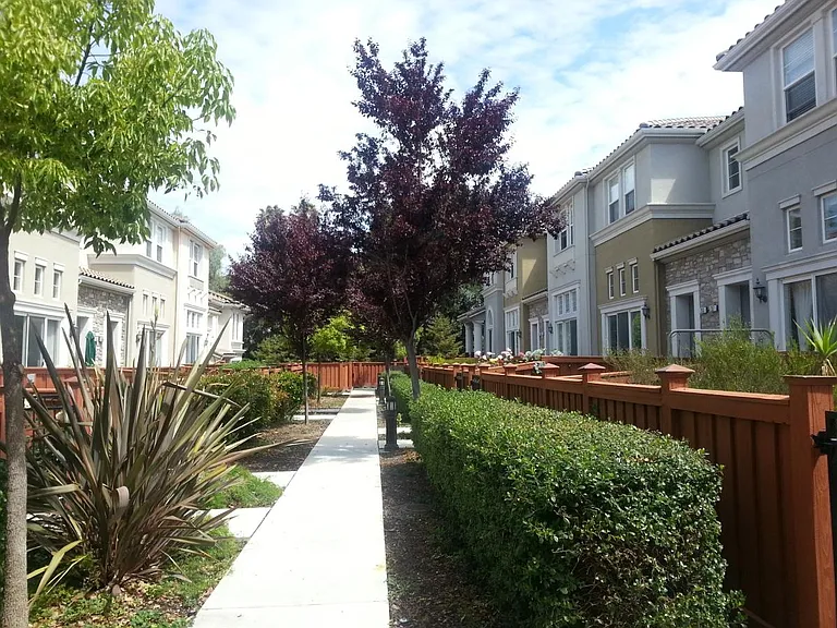 319 Vista Roma Way — Photo 5