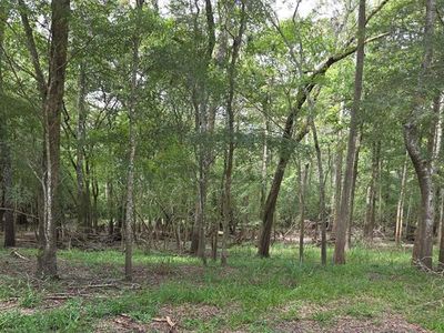 UNASSIGNED LOT 12, Old Town, FL, 32680