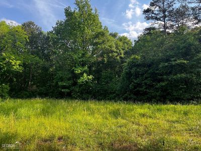 17411 Highway 17, Martin, GA, 30557