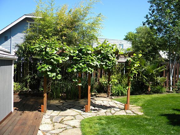 Deck, Patio & Pergola
