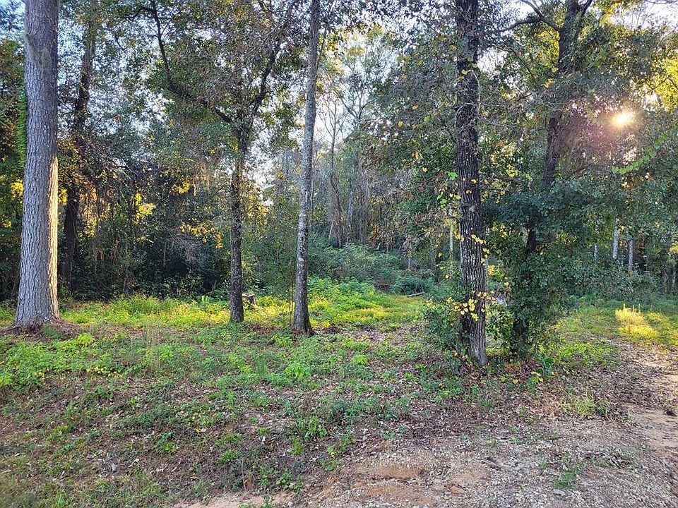 2nd image of 29 Bulloch Rd Parcel 75-044
