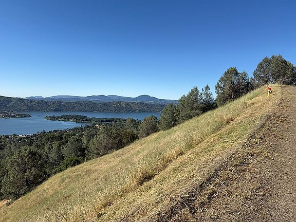 12453 + 12433 Alta Vista Dr