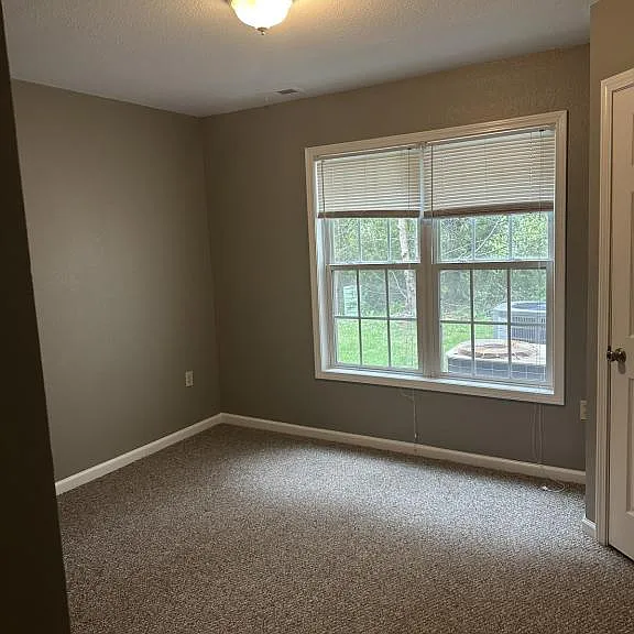 119 Boone Ridge Dr — Photo 8