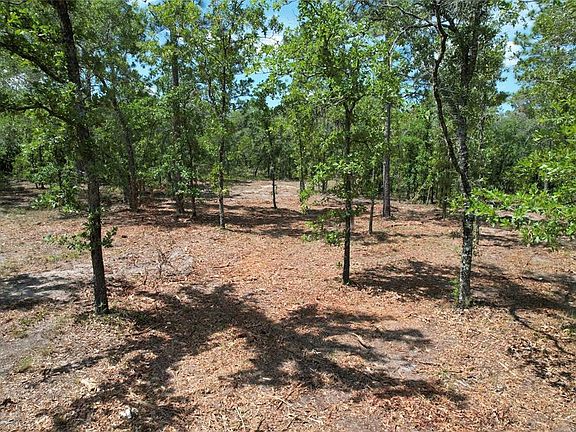 4th image of SE 53rd Ln Lot 9