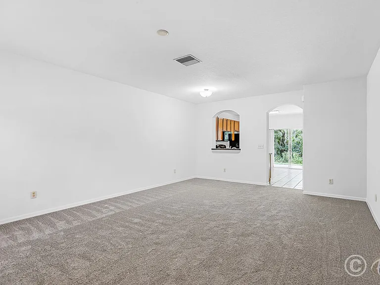 15807 Fishhawk Falls Dr — Photo 5