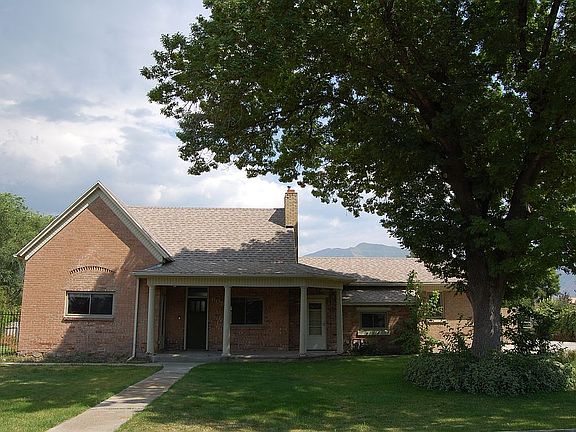 Big shade tree- charming!
