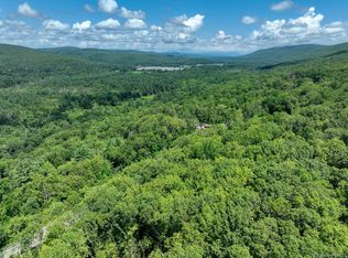 Mamakating Road, Wurtsboro, NY 12790