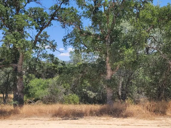 Meadow Ridge Rd, Coarsegold, CA 93614
