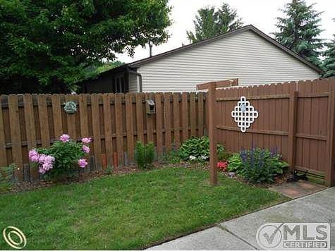 4 backyard.JPG