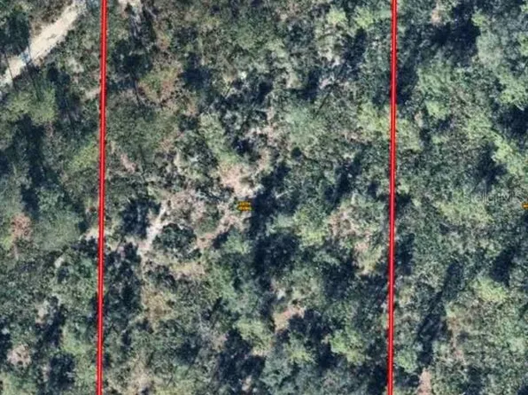 S Apopka Vineland Rd #941, Orlando, FL 32821