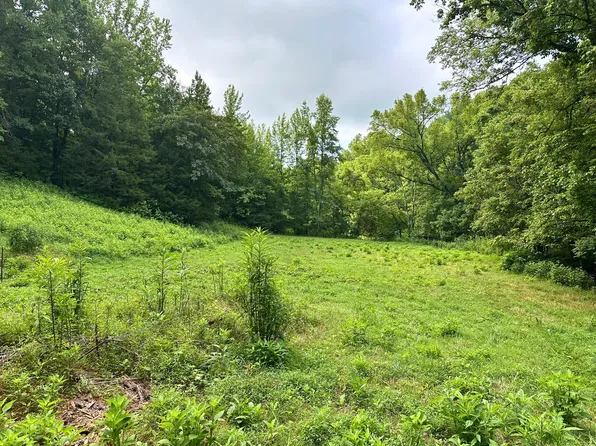 0 Dickens Ln, Buffalo Valley, TN 38548