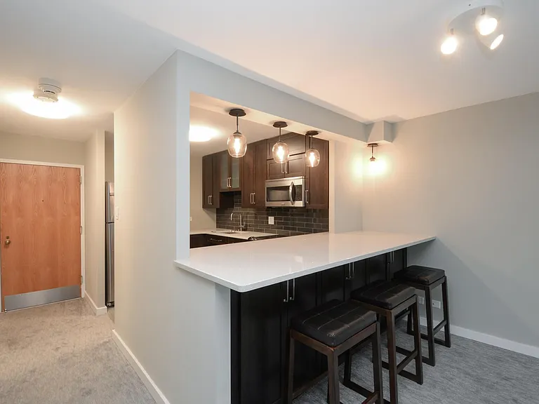 211 E Ohio St #1406 — Photo 3