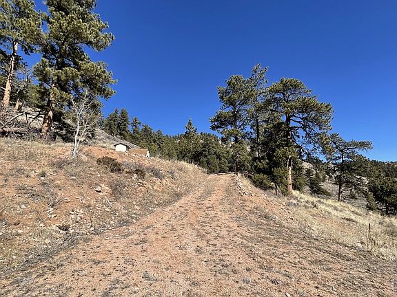 5th image of 1018 Beartrap Rd