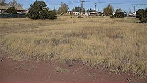 2nd image of 8506 Red Fox Ln