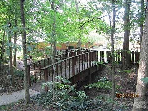bridge