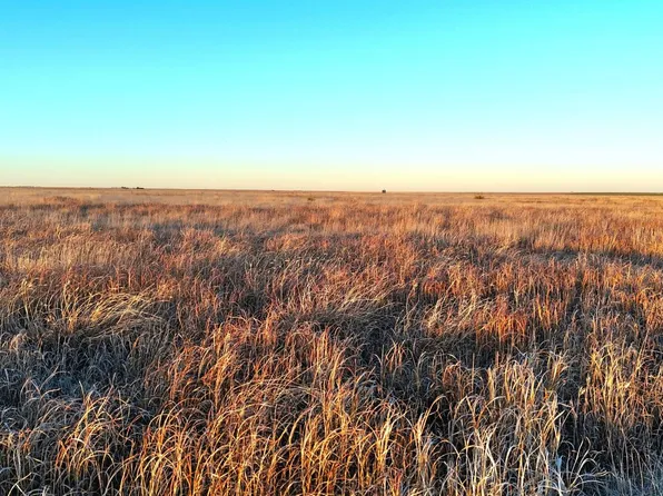 Road 26, Holly, CO 81047