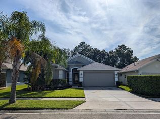 1048 Rosefaire Pl, Odessa, FL 33556