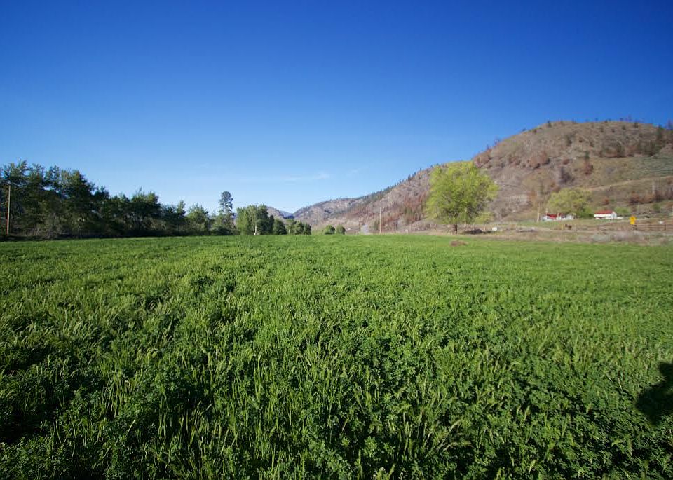 2nd image of Tbd Tunk Creek Rd