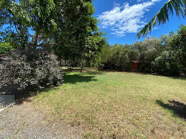 66-1675 Kohala Mountain Rd — Photo 11