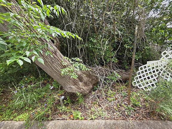 4th image of 3 & 4 Gordon Rd