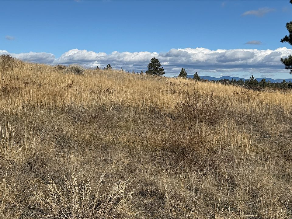 2nd image of Meadow Ln