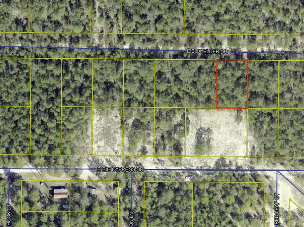 LOT 29 E Box Elder Dr, Defuniak Springs, FL 32433