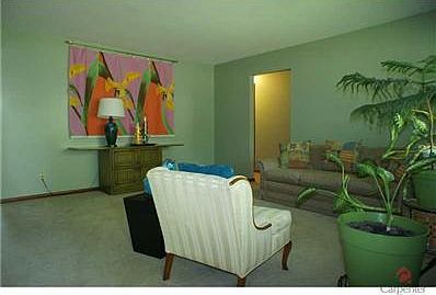 4th image of 7336 Shamrock Dr