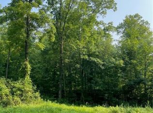 0 E Swamp Rd #29, Conesus, NY 14435