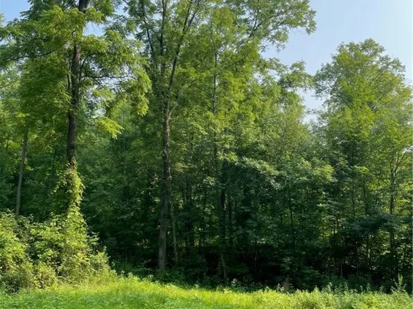 0 E Swamp Rd #29, Conesus, NY 14435