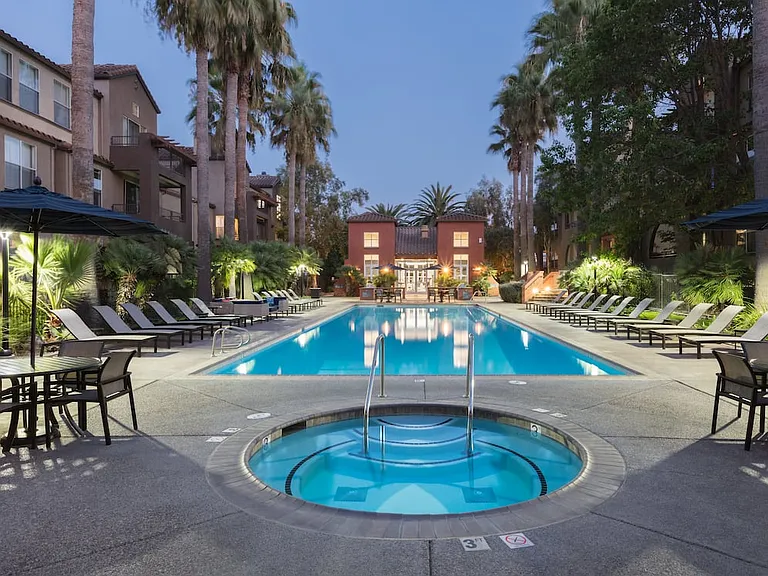 Swimming Pool and Spa