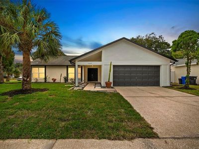 14018 Cascade Ln, Tampa, FL, 33618