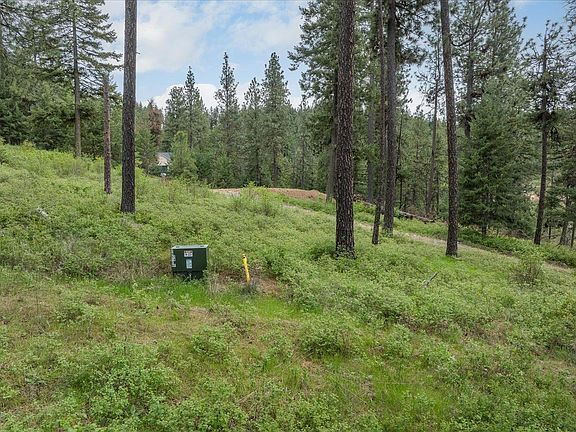 5th image of 6707 S Bridle Trail Ln