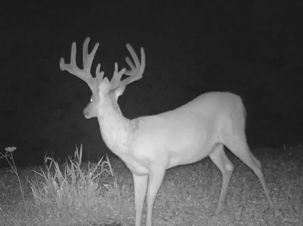 0 Mallow Trl, Unionville, MO 63565