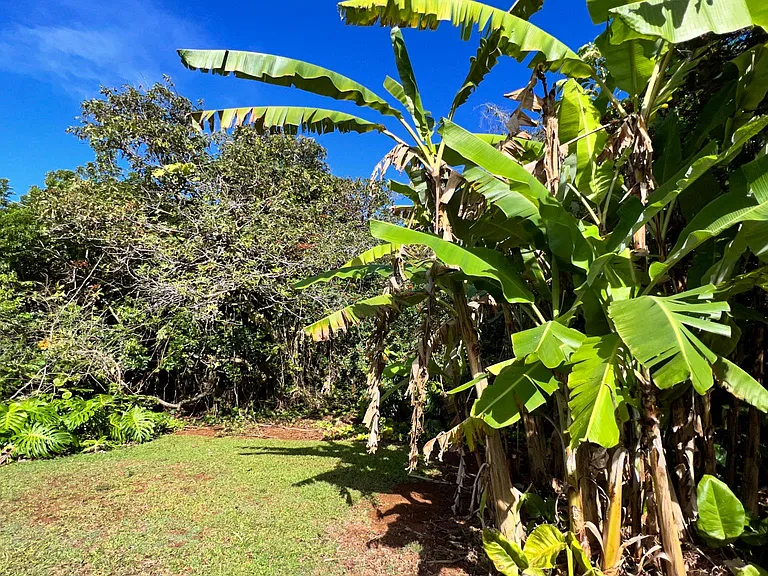 2130 Kauhikoa Rd — Photo 38