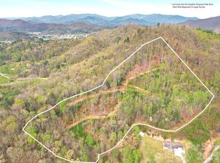 0 Willow Ln, Robbinsville, NC 28771