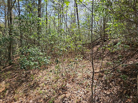 5th image of 0 Gem Lake Estates Rd