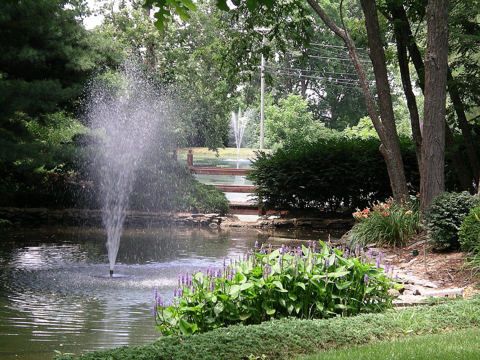 Pond and fountain