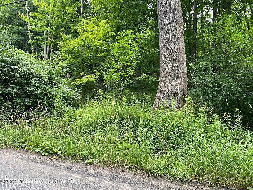 2nd image of Griffin Pond Rd