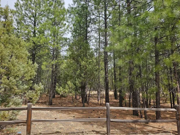 4846 Stargazer Dr, Happy Jack, AZ 86024