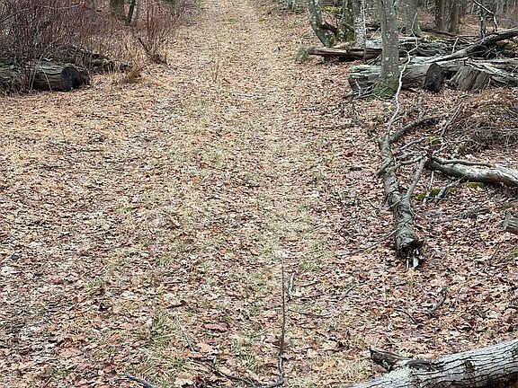4th image of 0 Red Hill Road