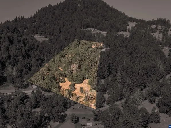 28920 Sheep Head Rd, Brownsville, OR 97327