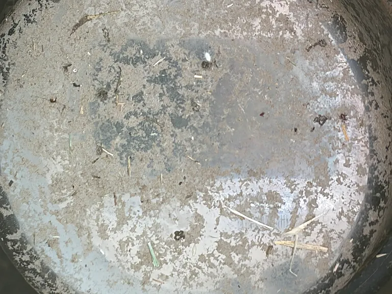 450 FM 487 #51 — Photo 18