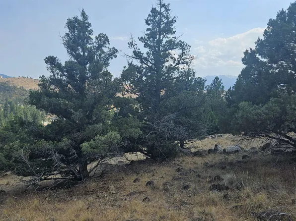 LOT 264 Stag St, Weed, CA 96094