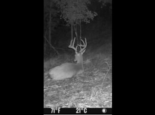 Froedge Dubree Road Tracts #2, Summer Shade, KY 42166