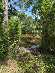 0 Horseshoe Loop, Doyline, LA, 71023