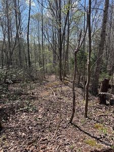 0 Brookside Pkwy #10, Lake Lure, NC, 28746
