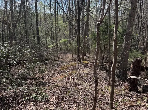 0 Brookside Pkwy #10, Lake Lure, NC 28746