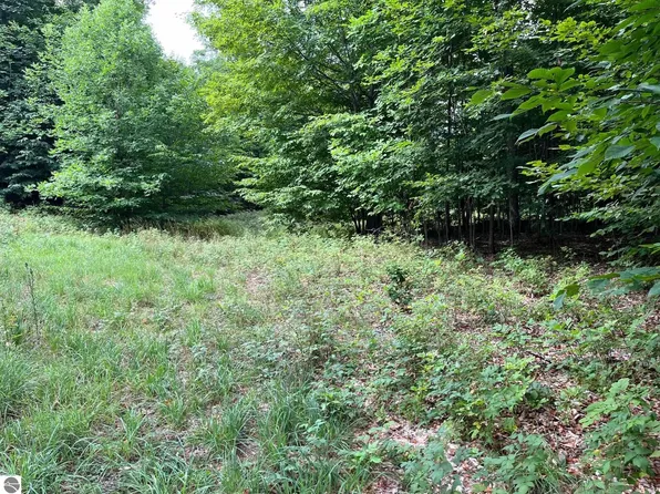 1 W Timberview Trl #1, Empire, MI 49630