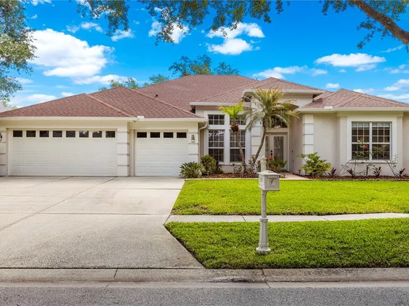 10254 Shadow Branch Dr, Tampa, FL 33647