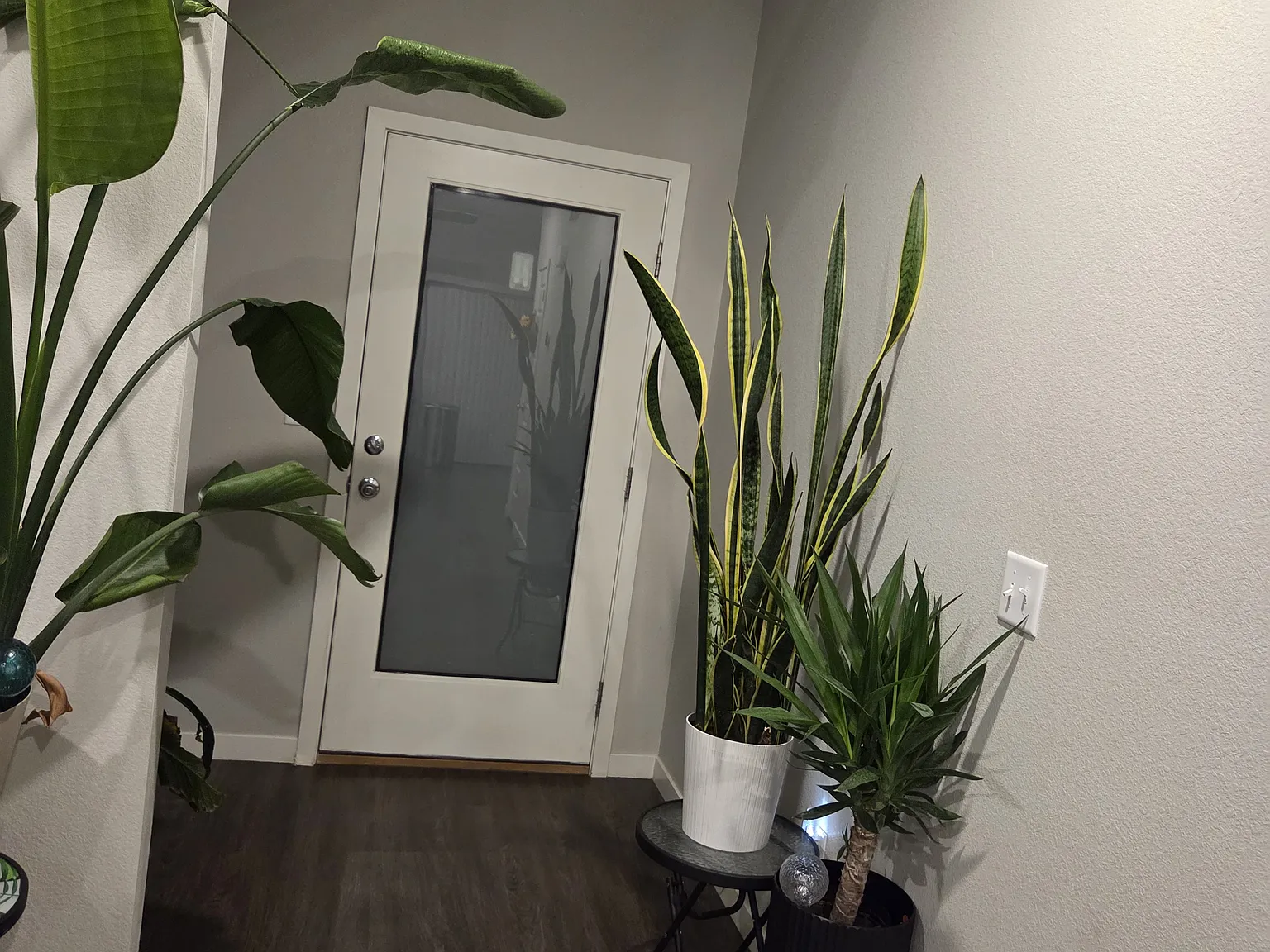 4 bed, 2.5 bath, 1773 sqft, $2,900 — Photo 3